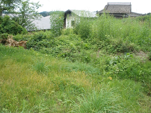 畑・原野
